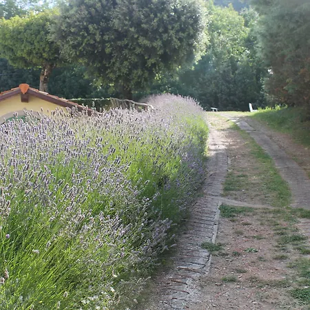 Croce Di Savoia 3*